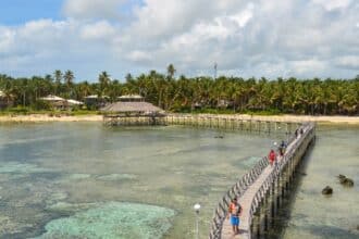 What Would Be Best For A Day Trip In Cebu?