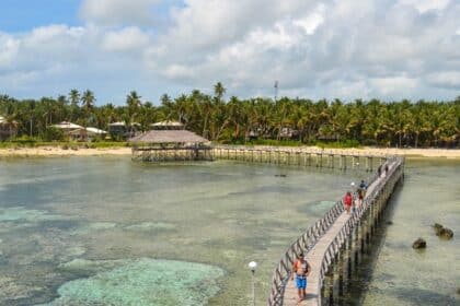 What Would Be Best For A Day Trip In Cebu?