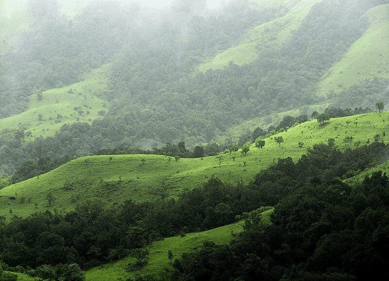 30 Best Place To Travel In June In India 18 Kudremukh