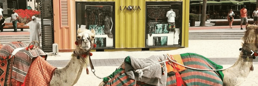 30 Best Place To Live In Dubai 4 Jumeirah Beach Residence (JBR)