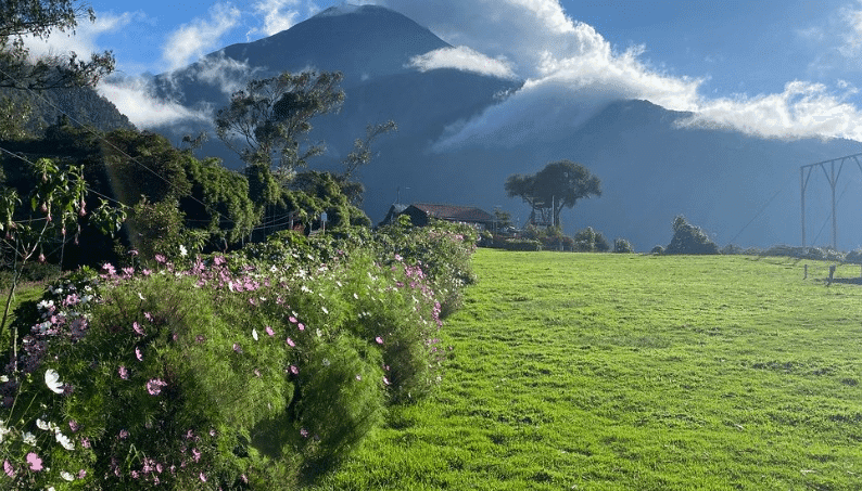 La Casa del Arbol, Baños
