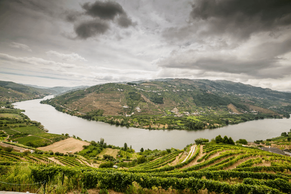 30 Best Places To Visit In Portugal 7 Douro Valley