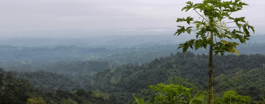 Chimbuk Hill