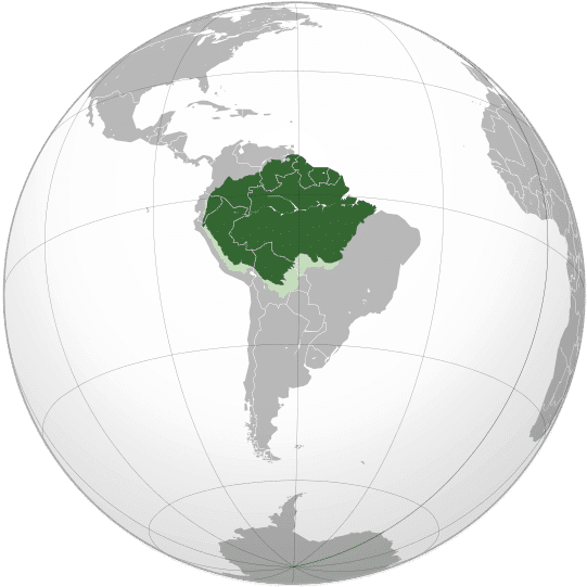 Amazon Rainforest