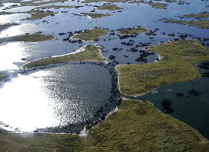 Pantanal