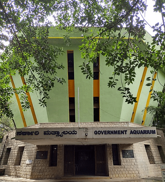 30 Best Tourist Place In Bangalore City 10 Bangalore Aquarium