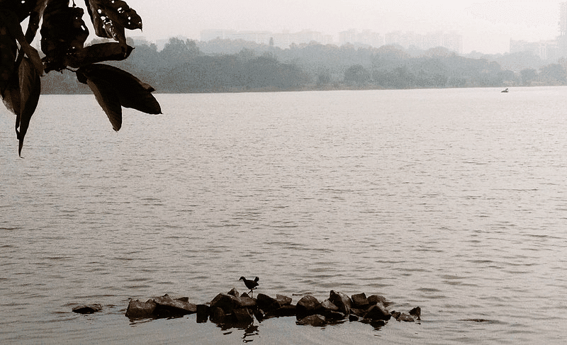 30 Best Tourist Place In Bangalore City 7 Hebbal Lake
