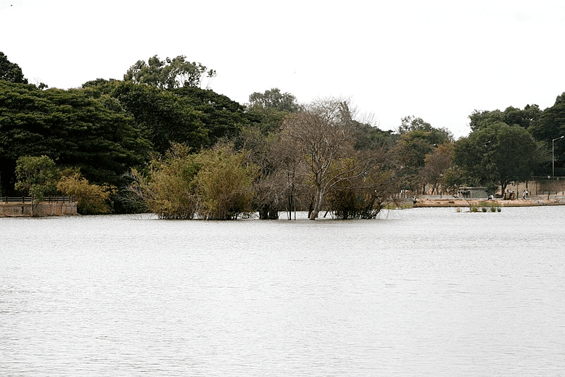 30 Best Tourist Place In Bangalore City 2 Sankey Tank