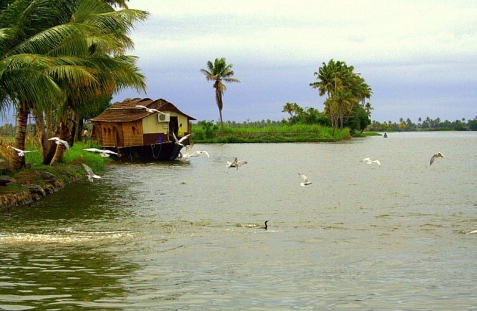 20 Best Trip Destinations In India For 2025 6 5. Kerala Backwaters