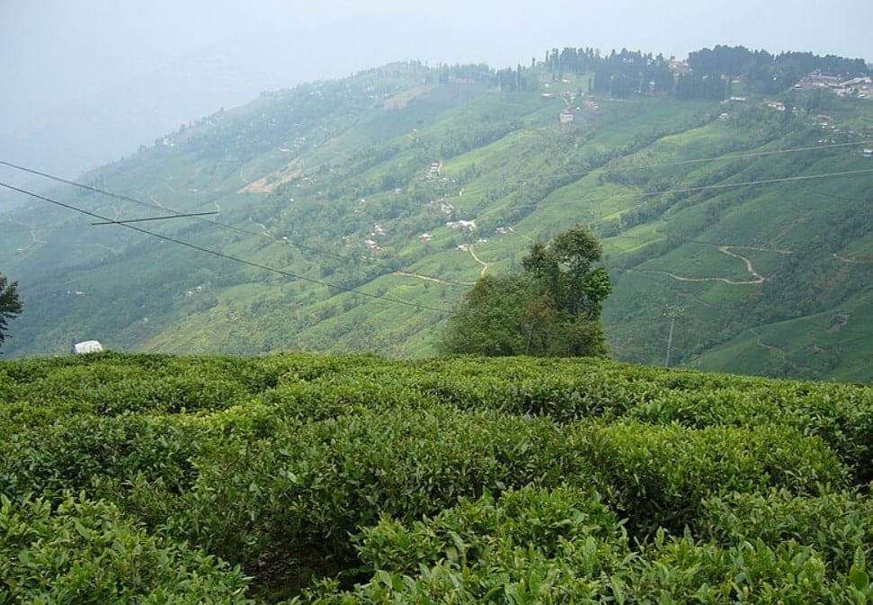 20 Best Trip Destinations In India For 2025 11 10. Darjeeling, West Bengal