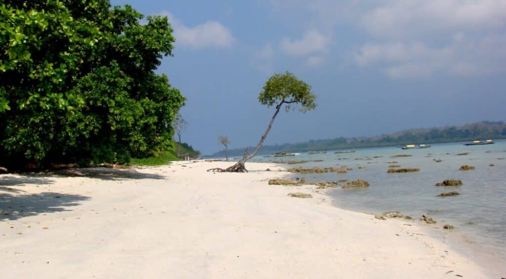 20 Best Trip Destinations In India For 2025 21 20. Andaman and Nicobar Islands