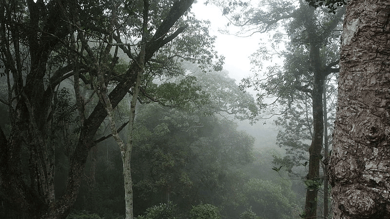 Kolli Hills