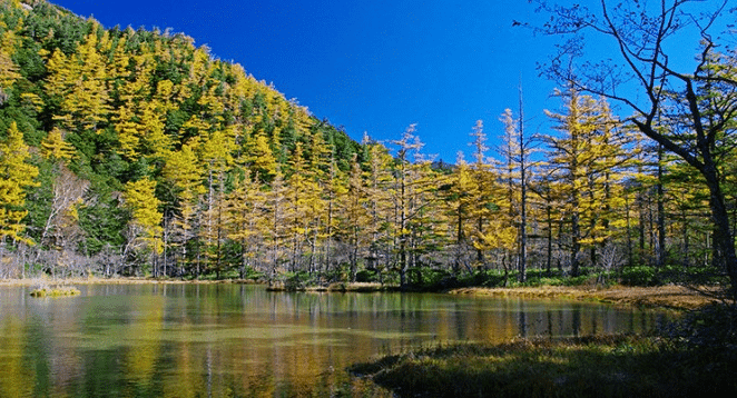 30 Best Haunted Places in Japan 27 Myojin-ike Pond