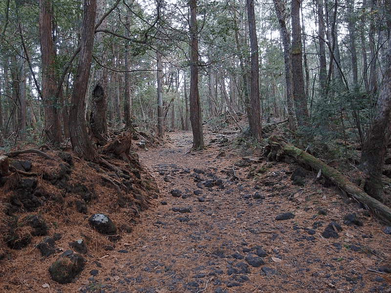 30 Best Haunted Places in Japan 8 Kiyotaki Tunnel