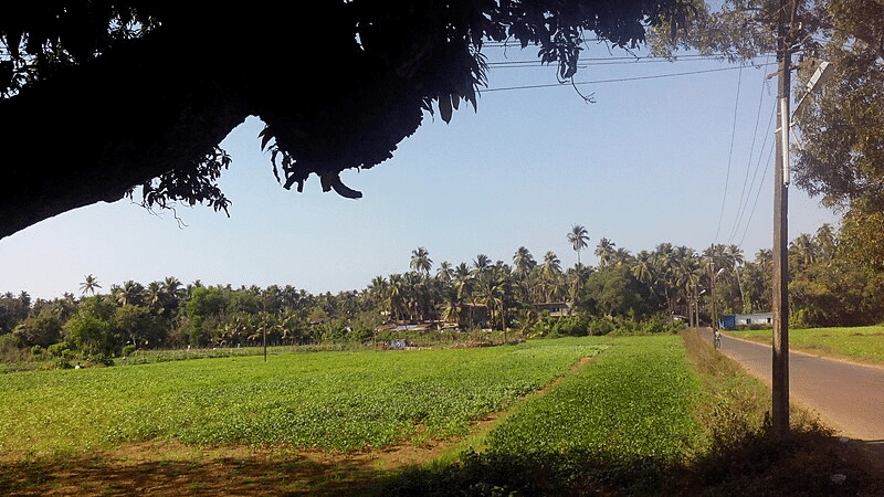 30 Best Haunted Places in Goa: Ghost Calling 3 Saligao Village