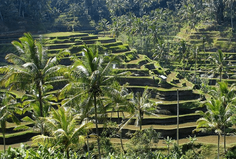 Bali, Indonesia