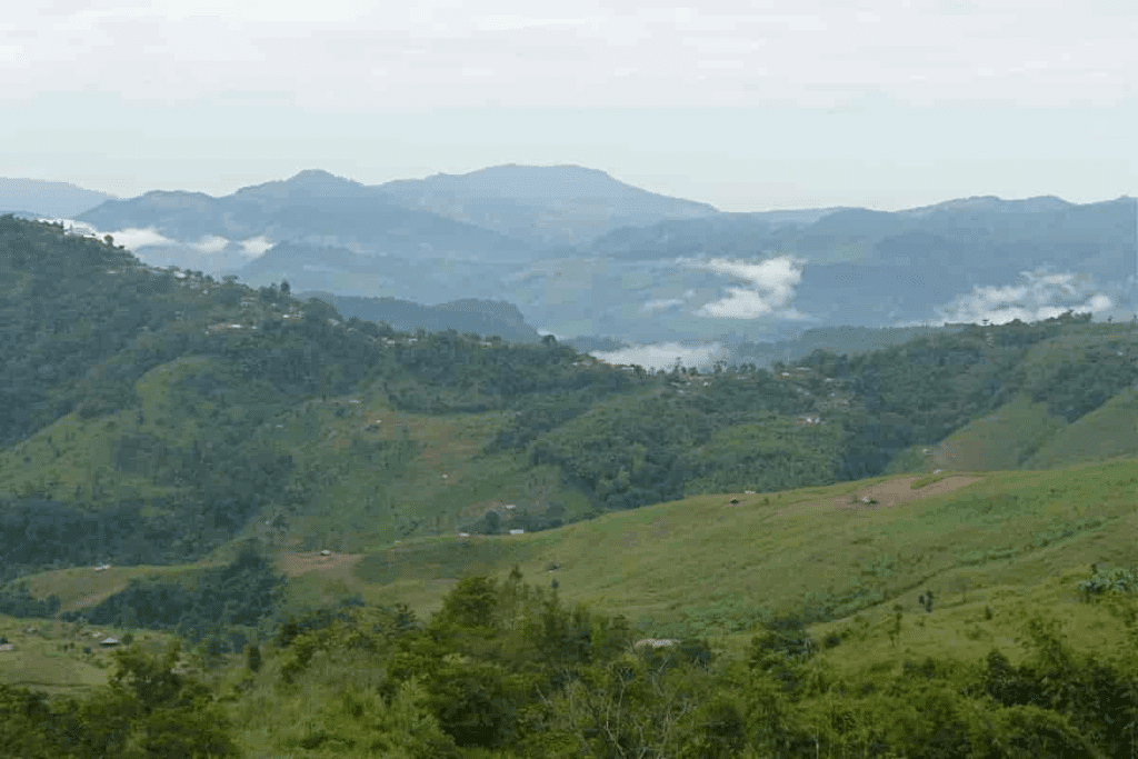 30 Best Tourist Place In Nagaland 24 Veda Peak