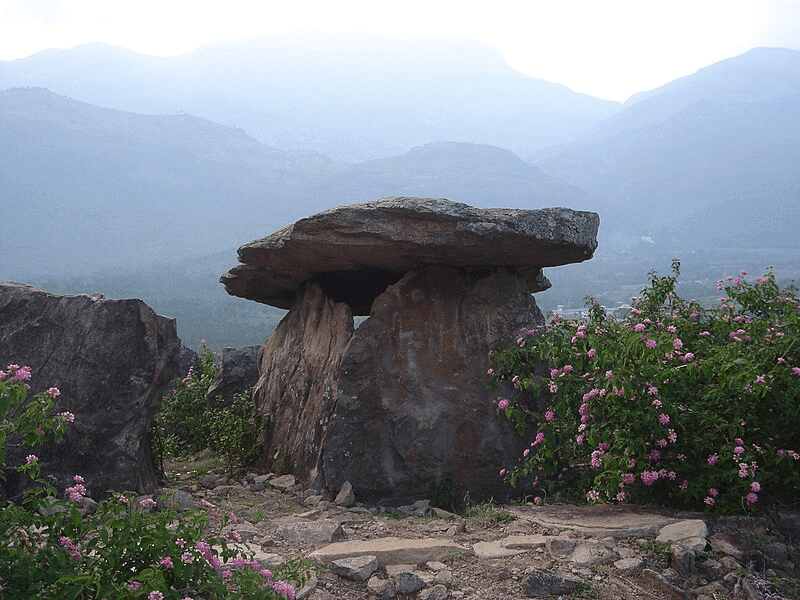 30 Best Places To Go On a Family Trip 23 Kerala