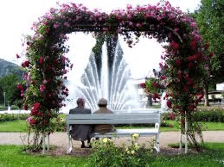 30 Best Tourist Place In Punjab: Must Visited Place 29 Nehru Rose Garden, Ludhiana