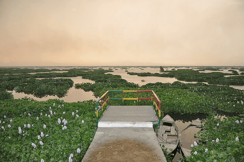 30 Best Tourist Place In Punjab: Must Visited Place 19 Harike Wetland and Bird Sanctuary, Tarn Taran