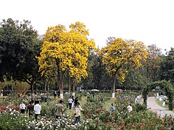 30 Best Tourist Place In Punjab: Must Visited Place 10 Rose Garden, Chandigarh