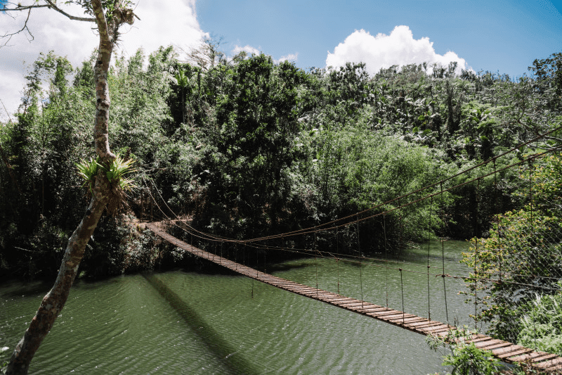 Puente Hamaca, Adjuntas