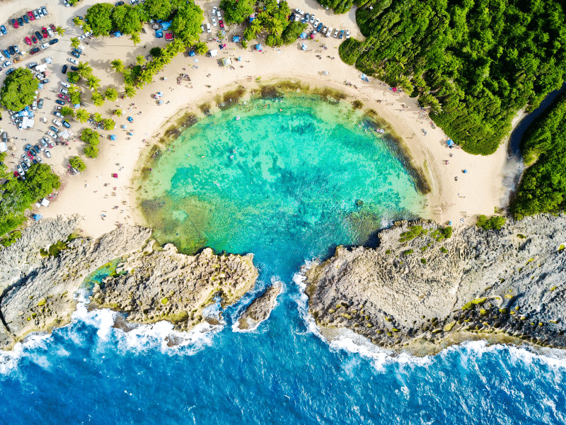 Mar Chiquita, Manatí