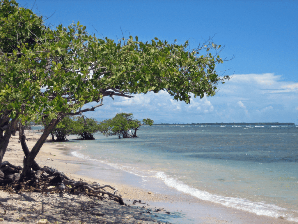 La Guancha, Ponce