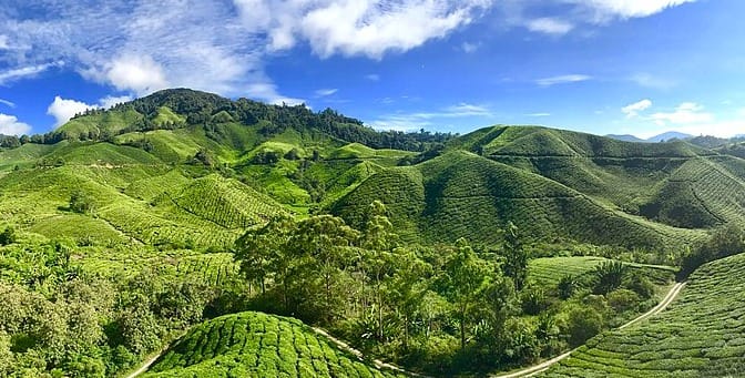 10 Best Travel Place In Malaysia 7 Cameron Highlands