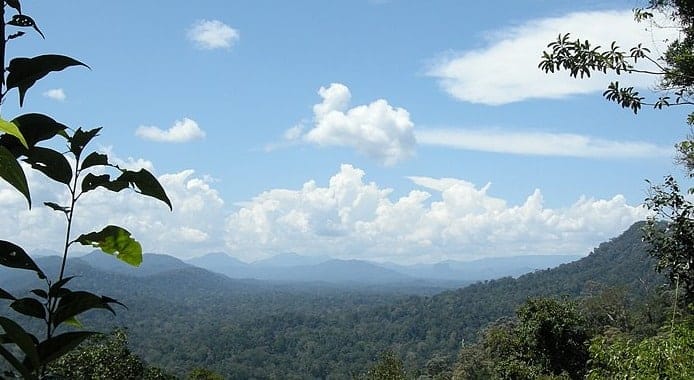 10 Best Travel Place In Malaysia 9 Taman Negara