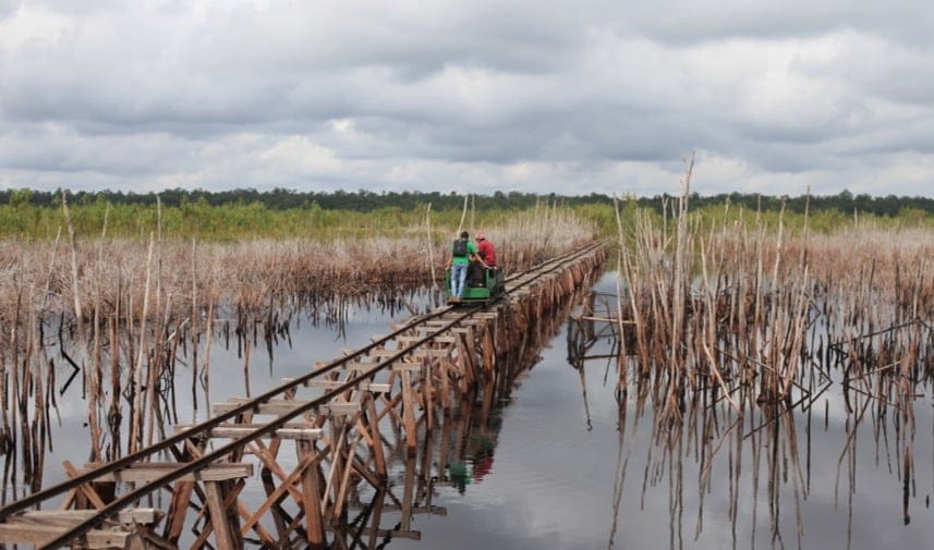 10 Best Travel Place In Malaysia 11 Borneo