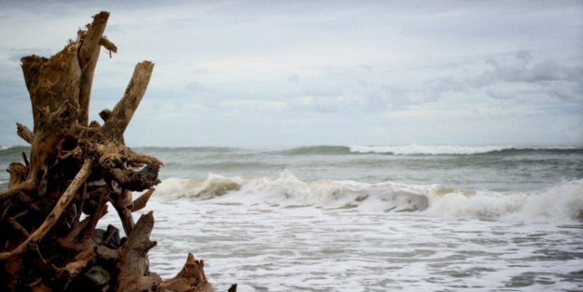 Dominical