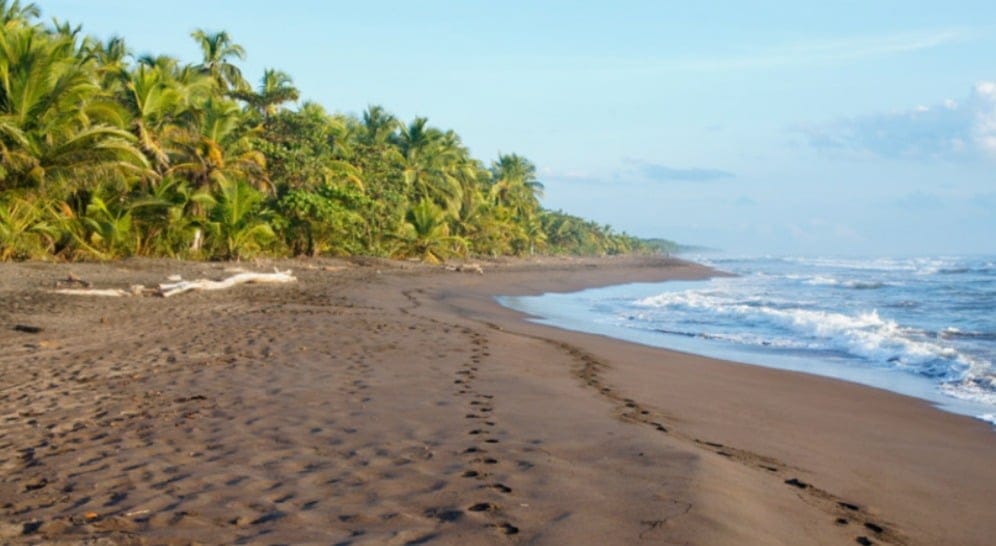 Nosara