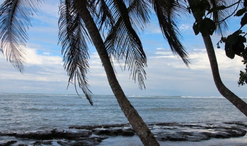  Cahuita National Park