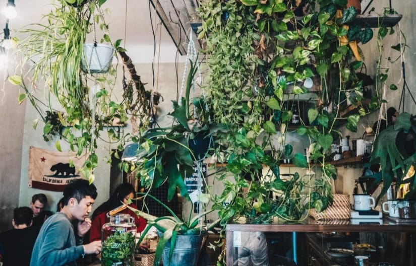 10 Best Breakfast Places In Berlin 2026 5 Roamers