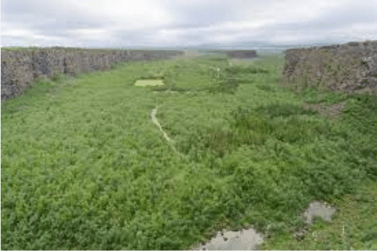 Asbyrgi Canyon