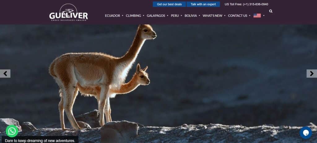 20 Best Tourist Agency In Ecuador 8 9. Gulliver Expeditions
