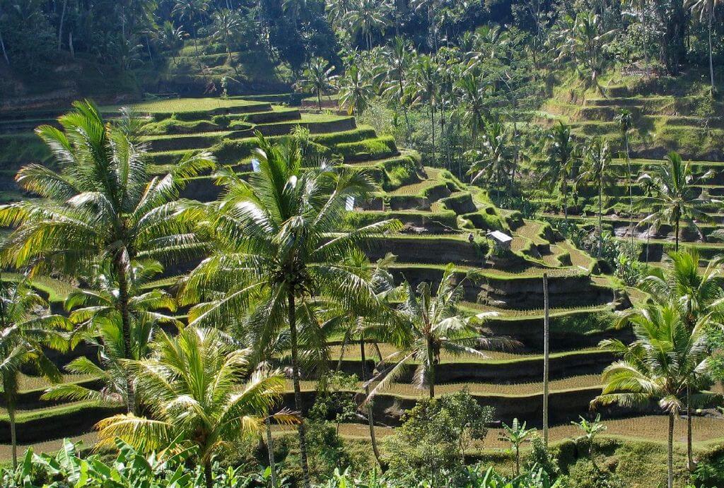 20 Best Places To Explore In The World 6 Bali