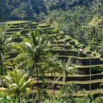 20 Best Place To Stay In Bali: Top Accommodations In Bali