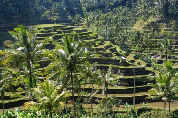 20 Best Place To Stay In Bali: Top Accommodations In Bali