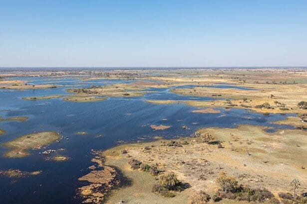 20 Best Place For African Safari