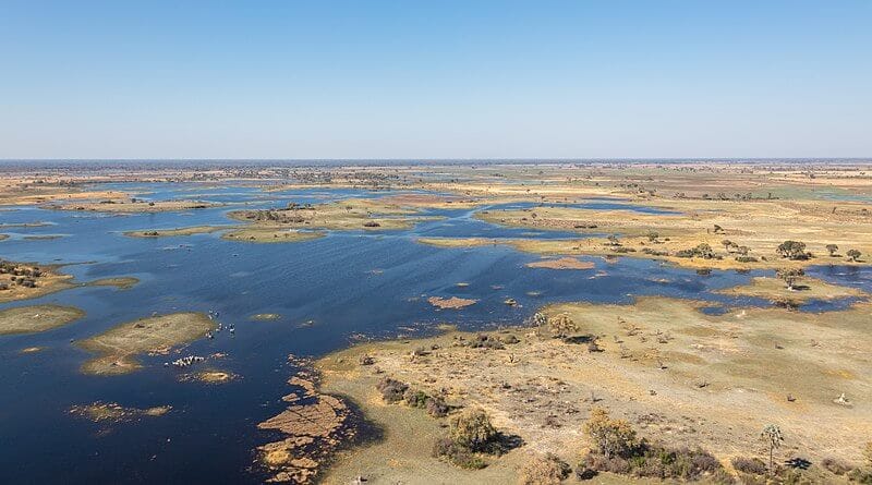 20 Best Place For African Safari