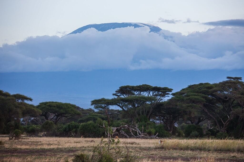 Amboseli National Park, Kenya