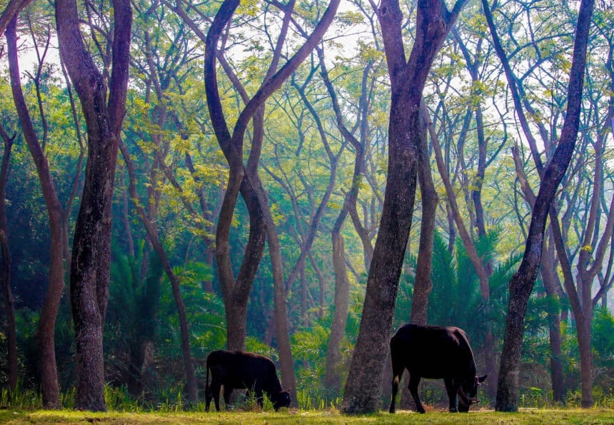 20 Best Travel Places In Jammu & Kashmir