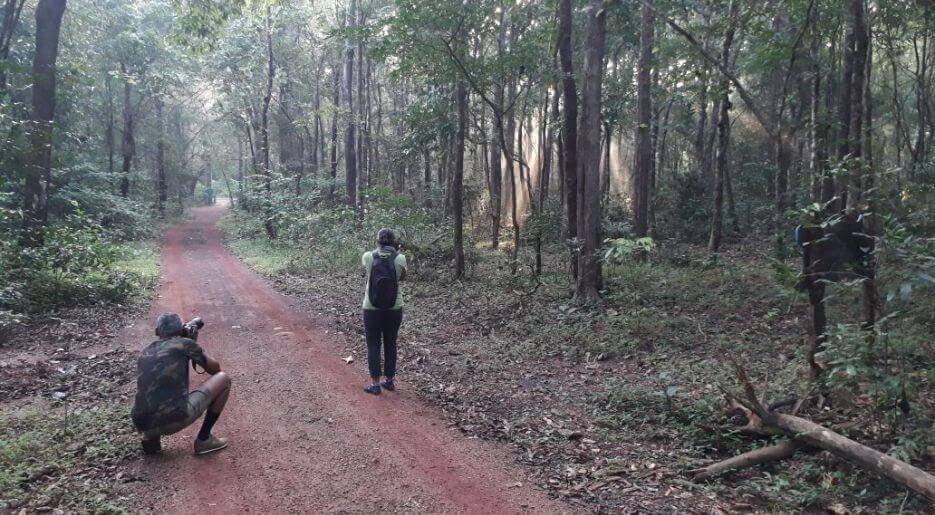 20 Best Tourist Places In Udupi: Udupi's Top Attractions 12 Anejhari Butterfly Camp Best Tourist Places In Udupi