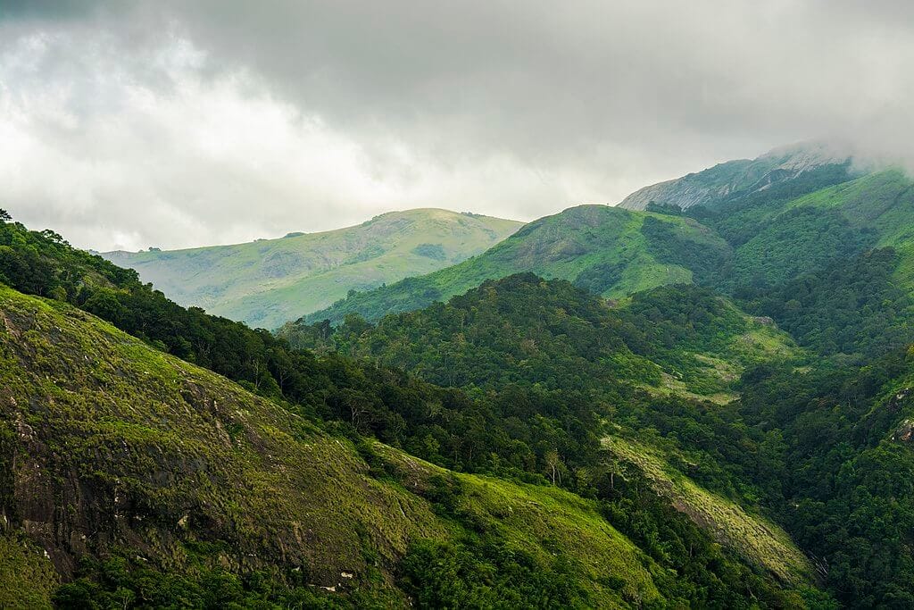 20 Best Tourist Places In Palakkad 18 Nelliyampathy Best Tourist Places In Palakkad