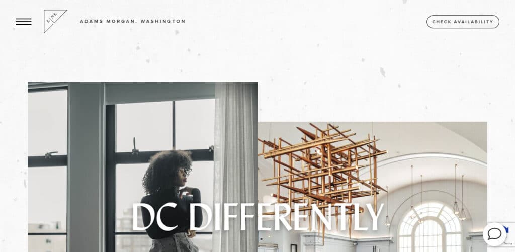 20 Best Places To Stay In Washington DC For Tourists 13 The LINE DC Best Places To Stay In Washington DC For Tourists