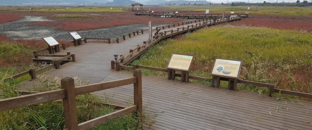 20 Best Place To Stay In Korea For Tourist 11 Jeungdo Salt Farm Best Place To Stay In Korea For Tourist