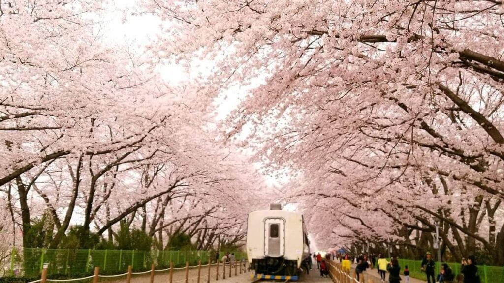 20 Best Place To Stay In Korea For Tourist 15 Kyeong-Wha Station Best Place To Stay In Korea For Tourist
