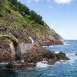 20 Best Place To Stay In Korea For Tourist
